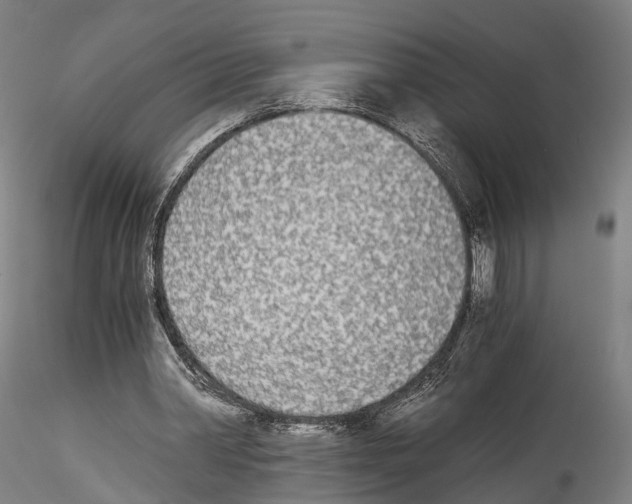 X0000114540390200911301207