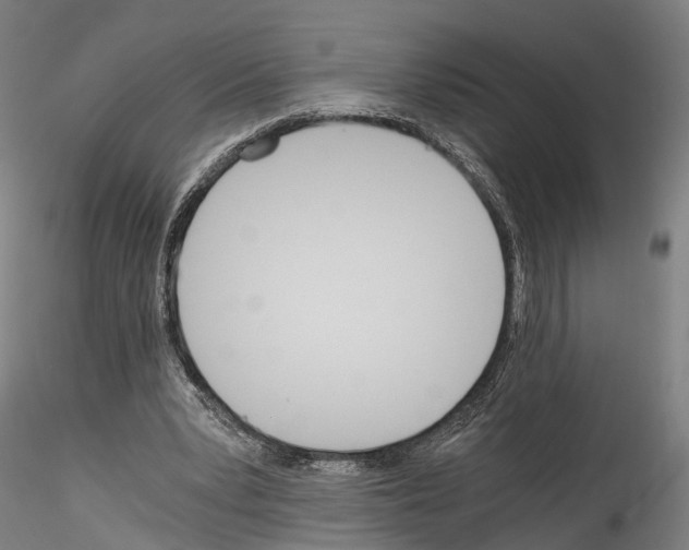 X0000114540391200911301206