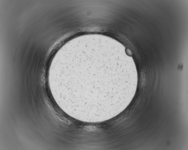 X0000114540392200911301206