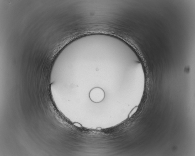 X0000114540393200911301206