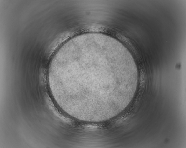 X0000114540394200911301206