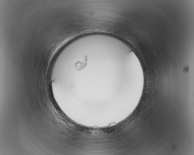 X0000114540395200911301206