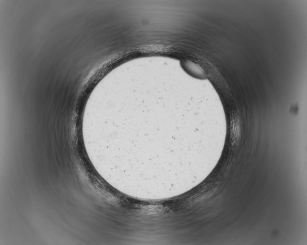 X0000114540396200911301206