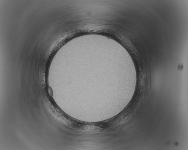 X0000114540399200911301206