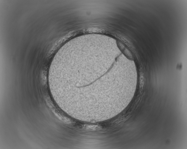 X0000114540401200911301206