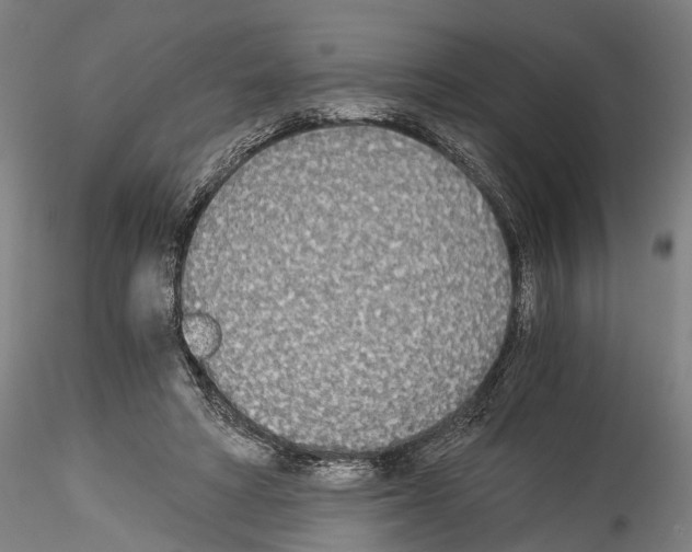 X0000114540402200911301206