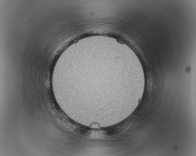 X0000114540403200911301206