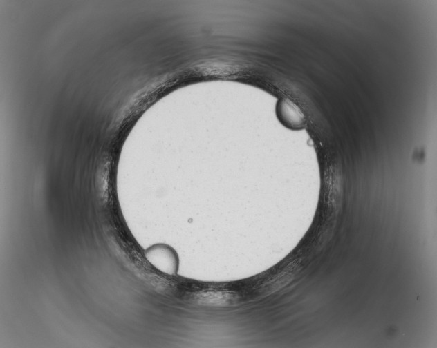 X0000114540404200911301206