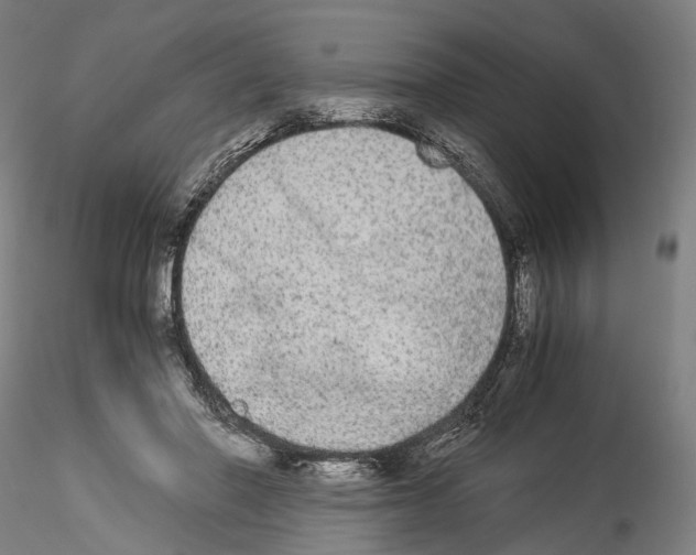 X0000114540406200911301206