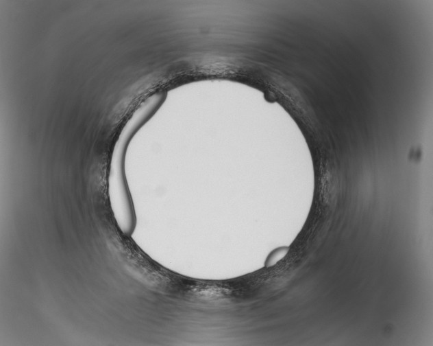 X0000114540407200911301206