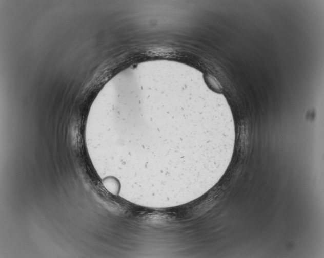 X0000114540408200911301206