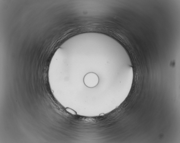 X0000114540409200911301206