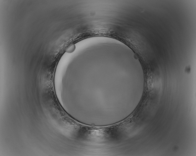 X0000114540411200911301206