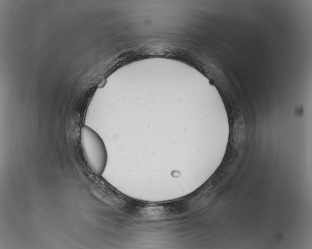 X0000114540413200911301206