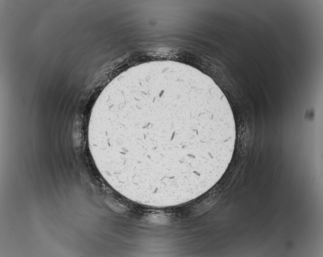 X0000114540416200911301206