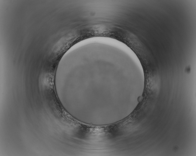 X0000114540419200911301206