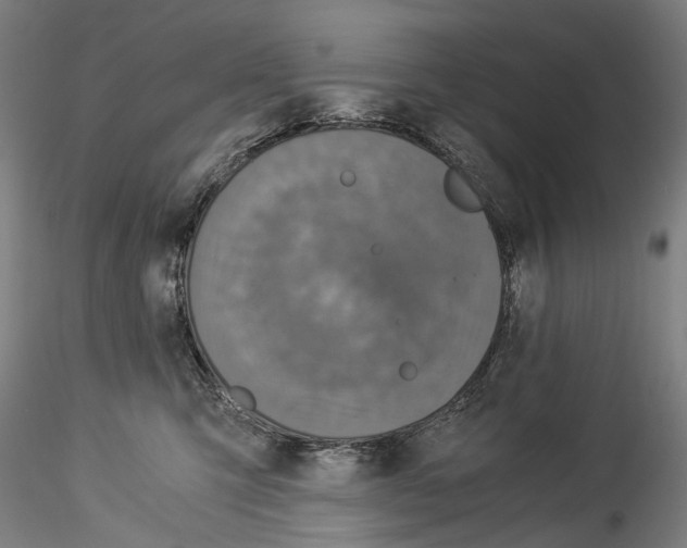 X0000114540423200911301206