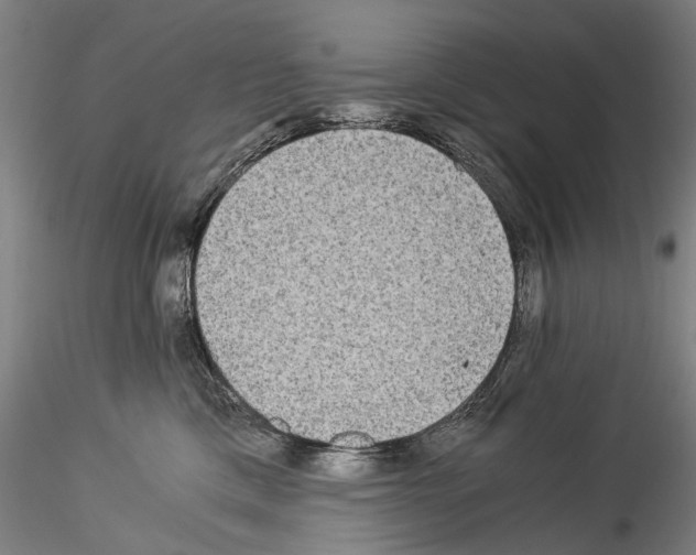 X0000114540425200911301206