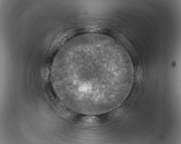 X0000114540427200911301206