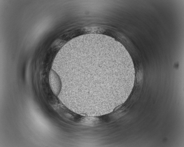 X0000114540429200911301206