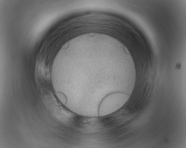 X0000114540431200911301206