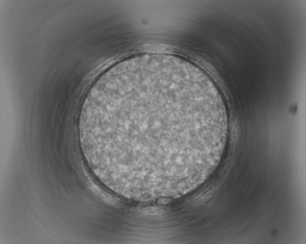 X0000114540433200911301205