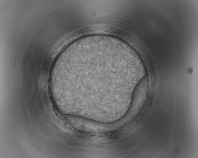 X0000114540434200911301205