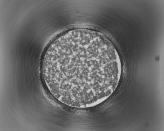 X0000114540438200911301205