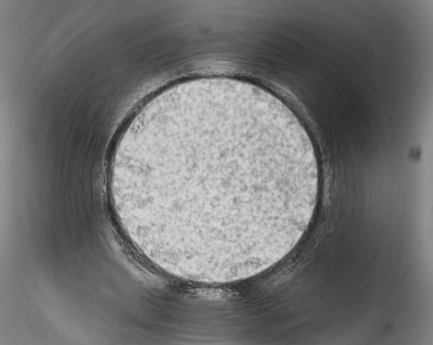 X0000114540439200911301205