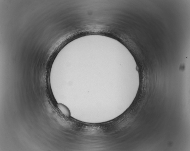 X0000114540440200911301205