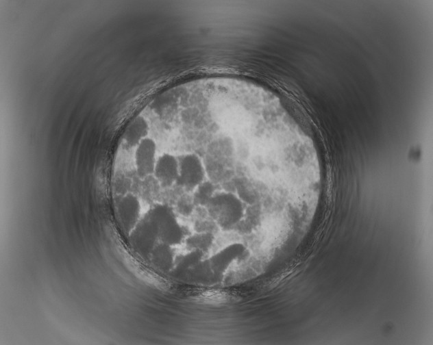 X0000114540441200911301205