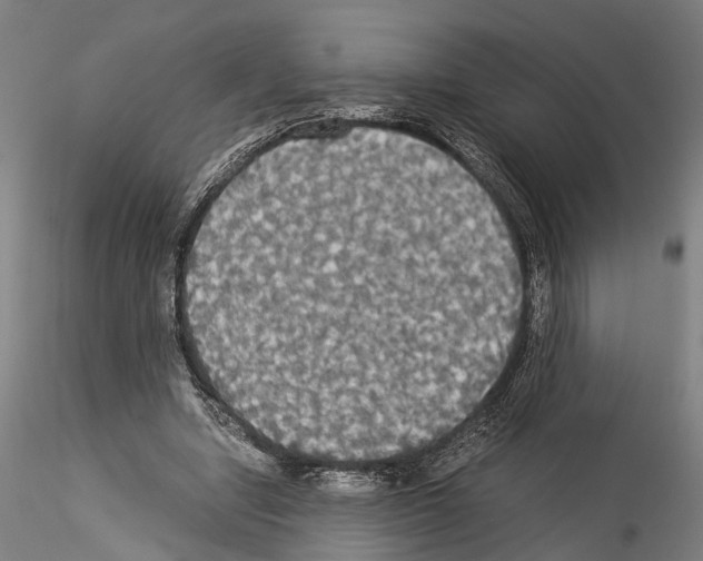 X0000114540442200911301205