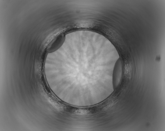 X0000114540444200911301205