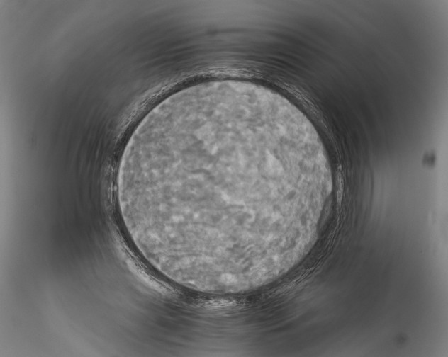 X0000114540445200911301205