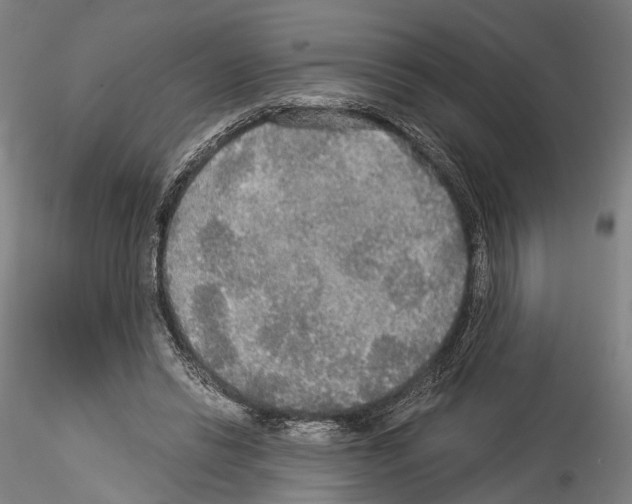 X0000114540446200911301205