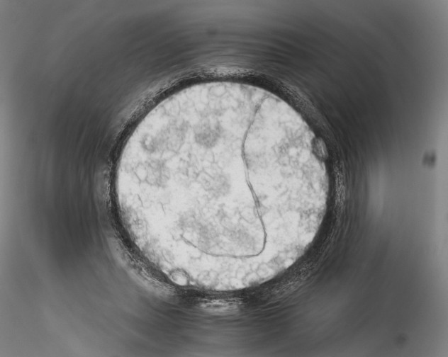 X0000114540447200911301205