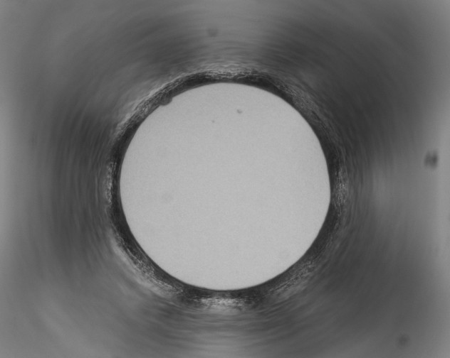 X0000114540448200911301205