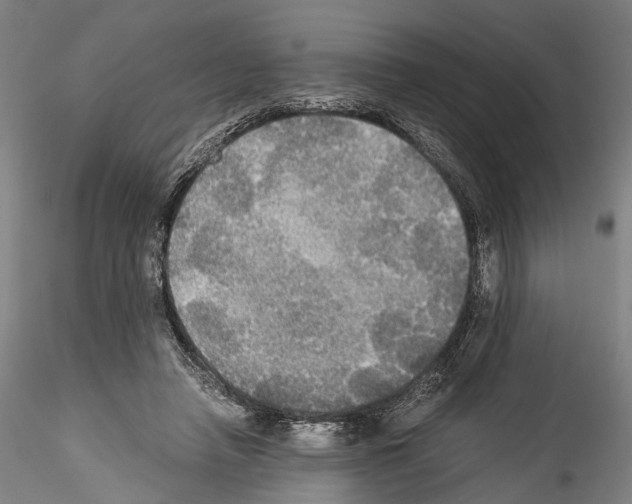 X0000114540450200911301205