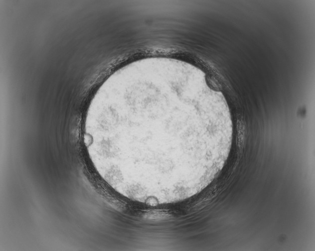 X0000114540451200911301205