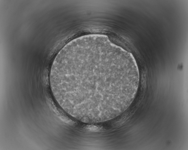 X0000114540453200911301205