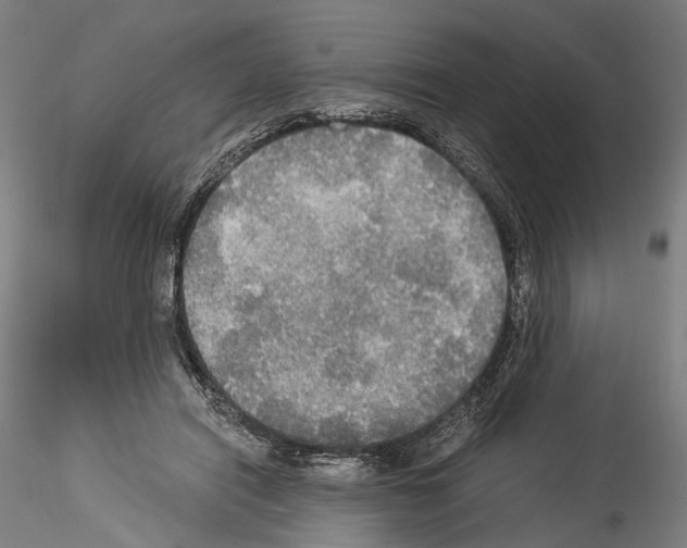 X0000114540454200911301205