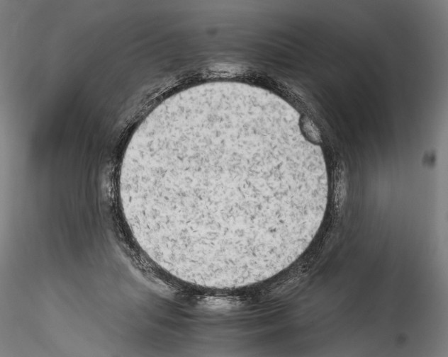 X0000114540455200911301205