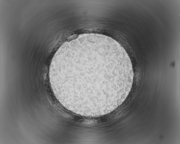 X0000114540458200911301205