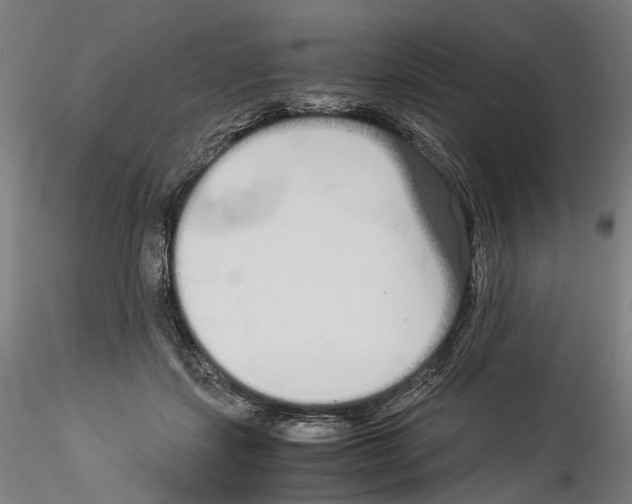 X0000114540459200911301205