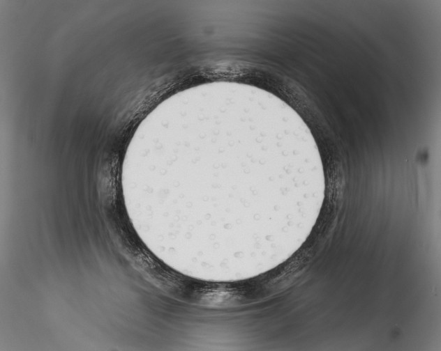 X0000114540460200911301205