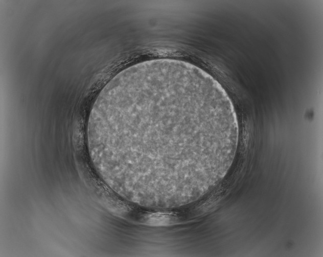 X0000114540461200911301205