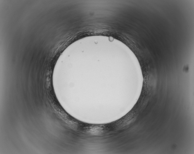 X0000114540462200911301205