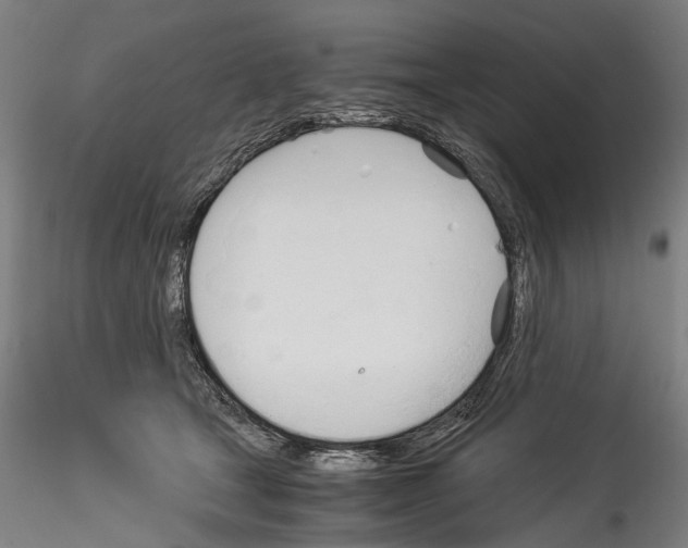 X0000114540465200911301206