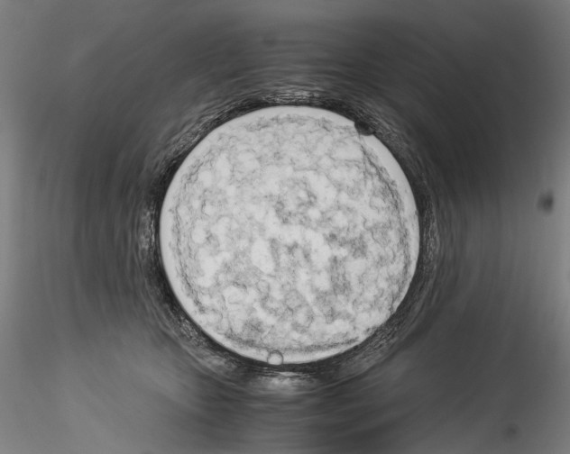 X0000114540467200911301206