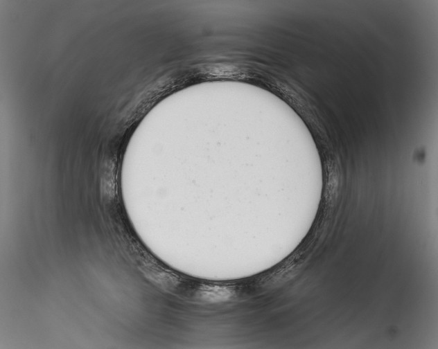 X0000114540469200911301206